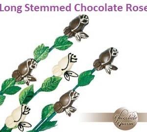 Long Stemmed Chocolate Roses